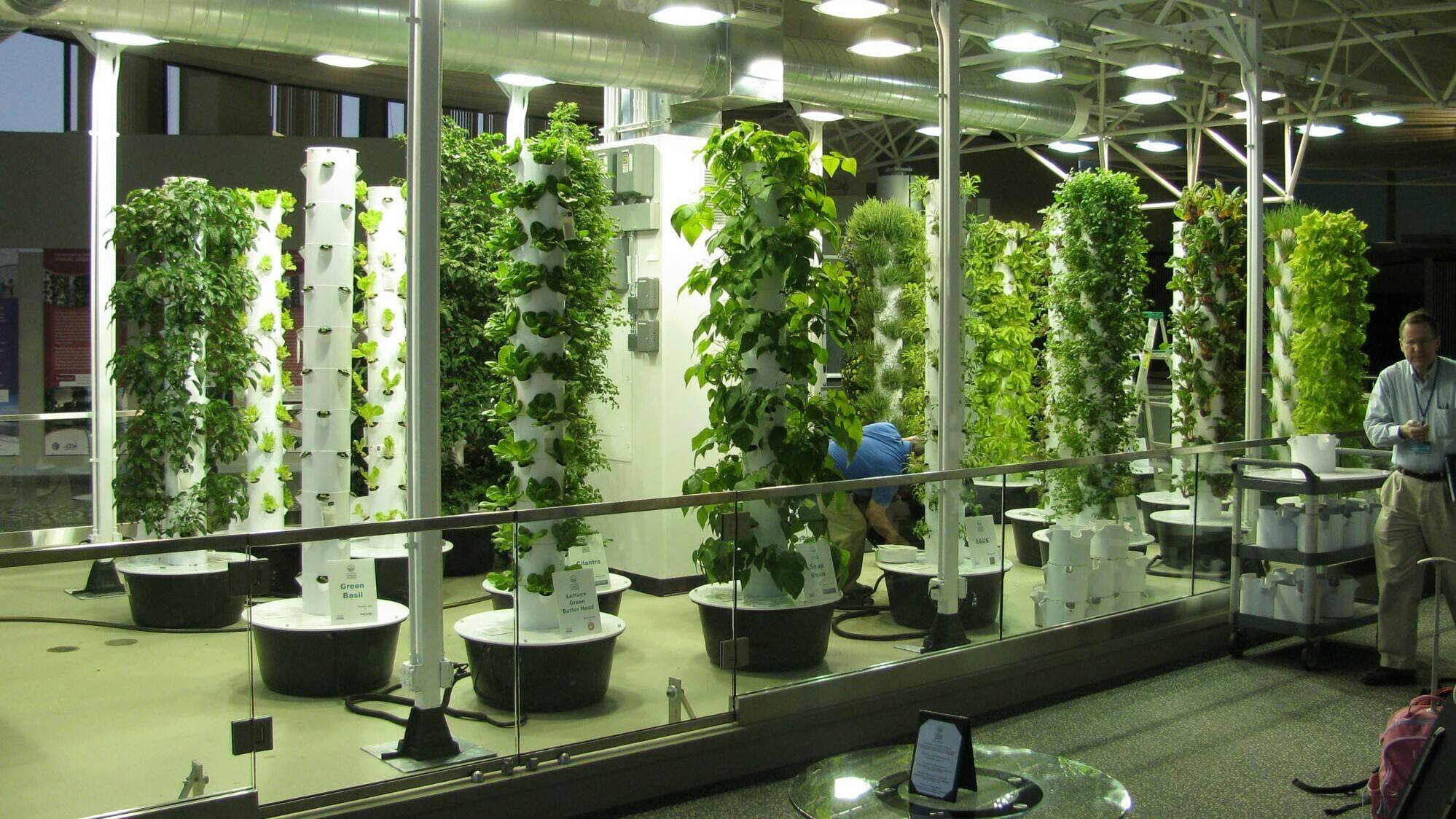 agricultura co2 sustentabilidad